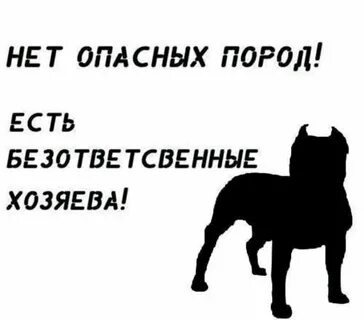 Определи хозяина