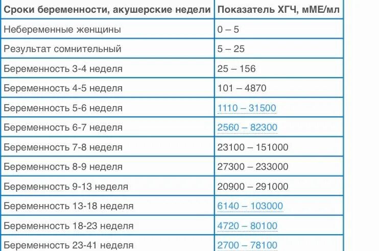 5 акушерская неделя