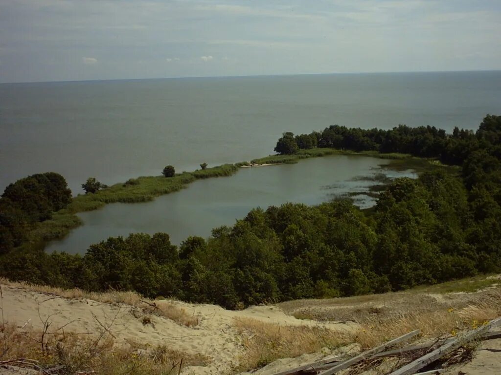 Поселок лесное калининградская. Поселок Лесной Куршская коса. Посёлок Лесное Калининградская область Куршская коса. Поселок Морское Куршская коса. Мыс Рыбачий Куршская коса.