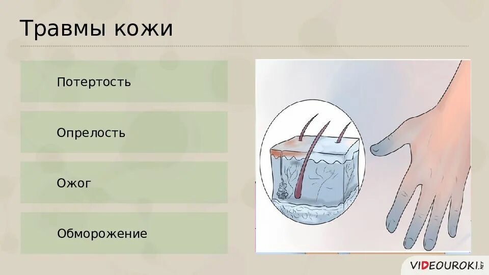 Поврежденные кожные покровы. Причины повреждения кожи. Заболевания и повреждения кожи