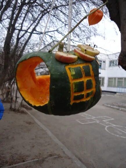 Кормушка для птиц из тыквы своими руками. Кормушка из тыквы для птиц. кормушка из тыквы для птиц своими. кормушка из тыквы для птиц своими руками. кормушки для детского сада из тыквы.