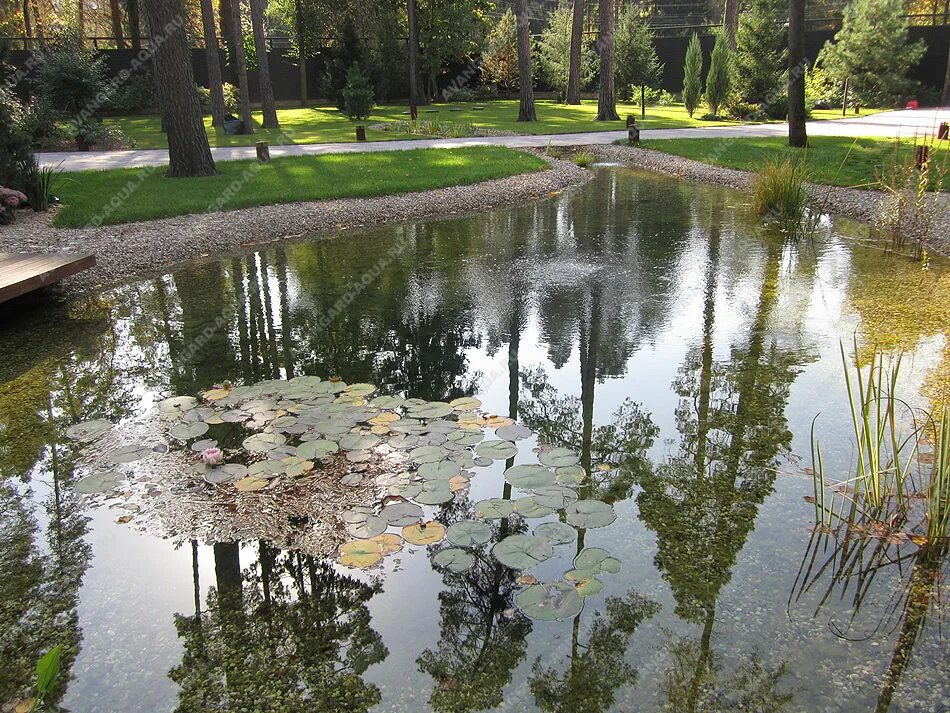 Бетонный пруд. Бетонированный водоем. Искусственные пруды в Москве. Искусственные водоемы Москвы.