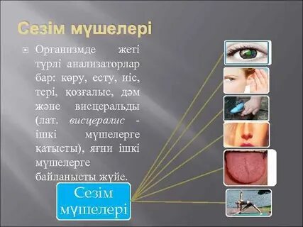 Жалаңаш ұзын әйелдердің суреттері