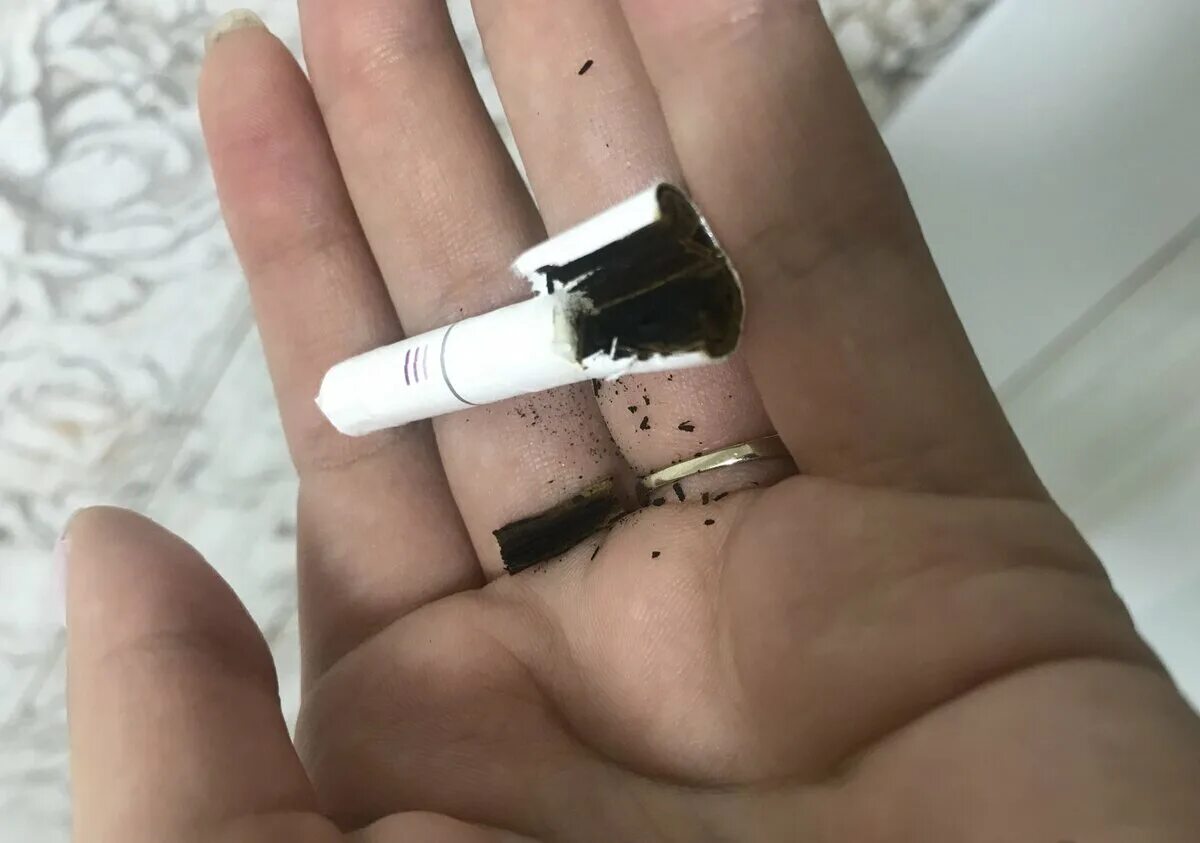 Улечу курю айкос из твоих. Лезвие айкос 2.4. сломанный lil iqos. курительные стики айкос. курилка для стиков айкос.