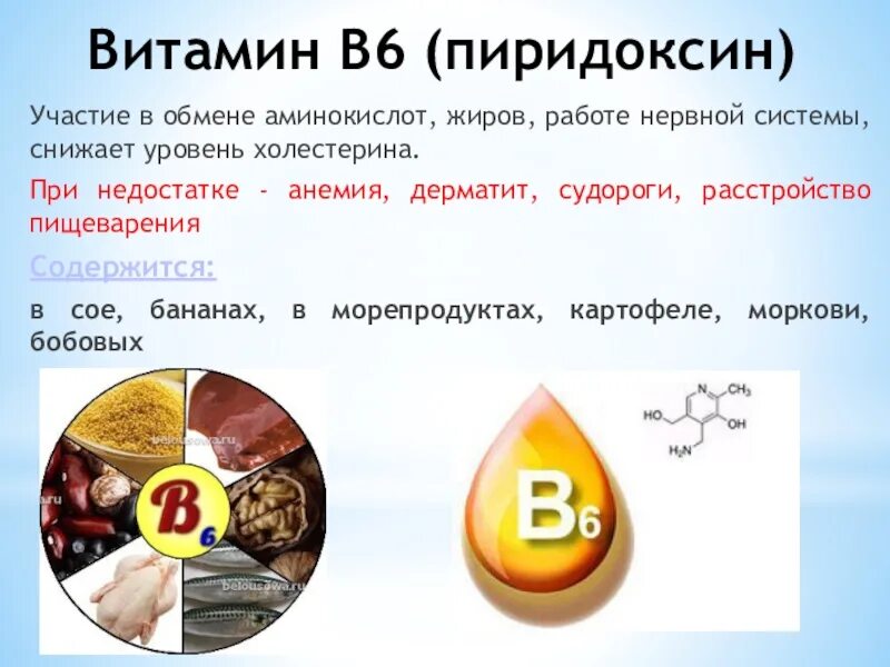 B6 пиридоксин. Витамин в6 пиридоксин. Пиридоксин роль в организме. Пиридоксин функции.