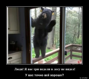 Видел через неделю