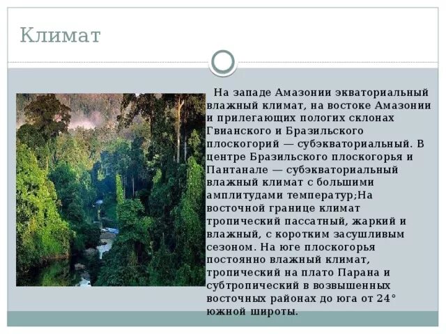 Количество осадков в экваториальных лесах. Климат амазонии. климат экваториальных лесов. климат влажных экваториальных лесов. климат влажных экваториальных лесов южной америки.