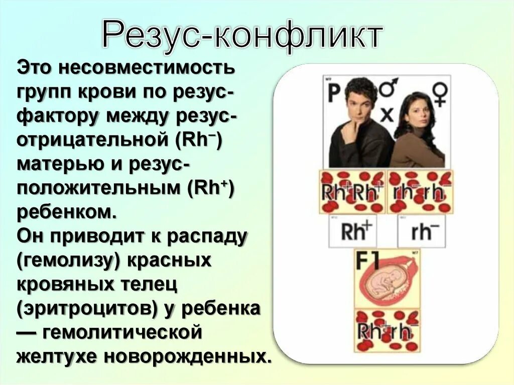 Резус несовместимость. Резус несовместимость и резус конфликт. Резус фактор и резус несовместимость. Несовместимость резус факторов. Кровь несовместимость резусов