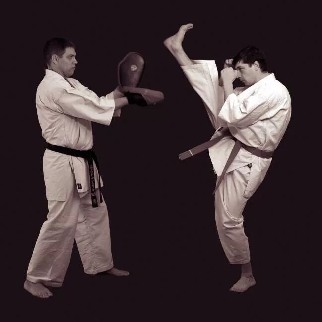 Название ударов в тхэквондо. Удар хук в боксе техника. Оверхед удар в боксе. Удар хук в боксе техника. Комплекс упражнений вдв рукопашный бой.