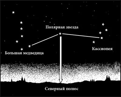 Полярная звезда показывает направление на