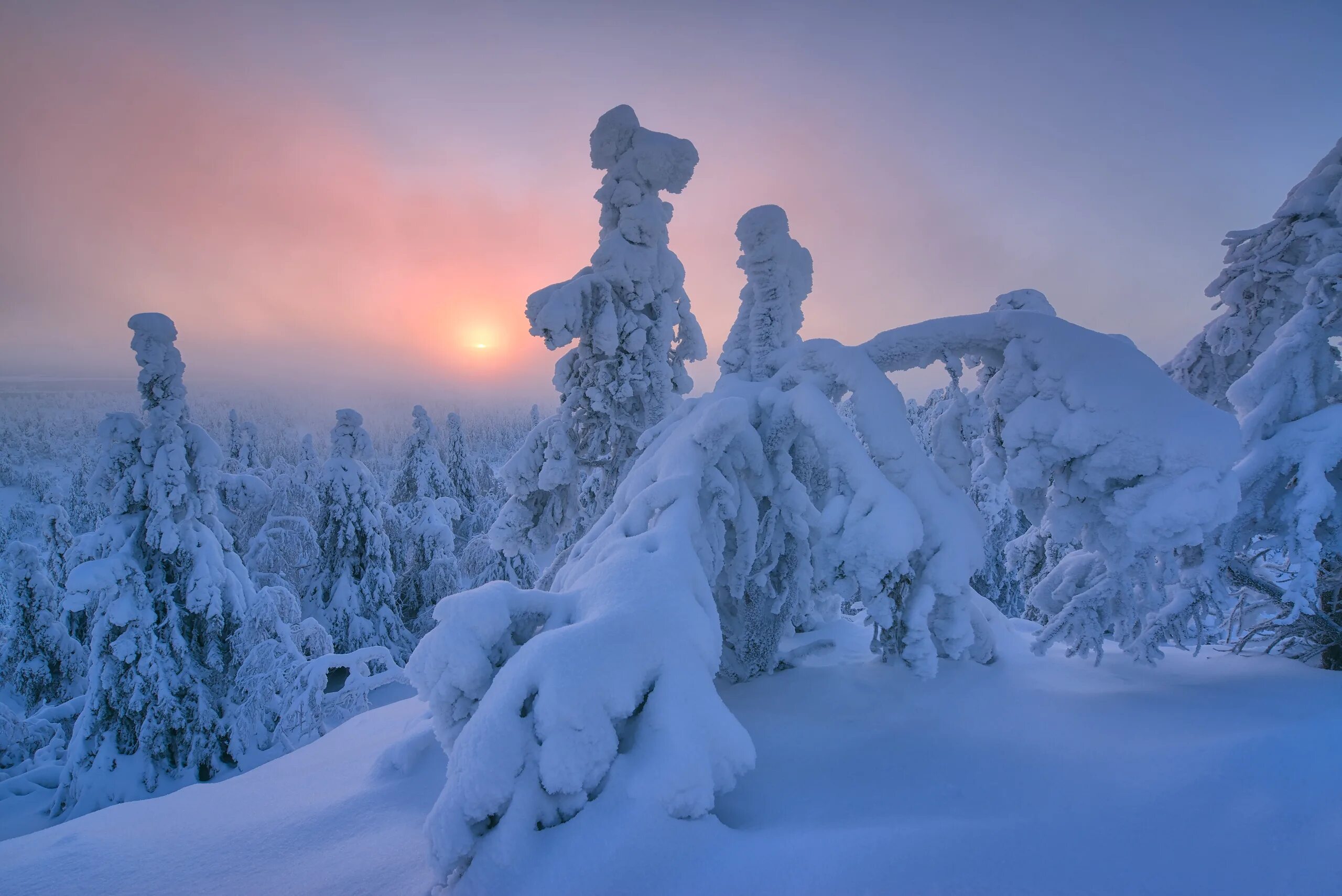 Финляндия январь. Финляндия зима Лапландия. Суровая зима. Снежная Лапландия. Снег в Финляндии.