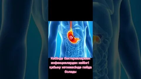 Хатшының жалаған жинағы