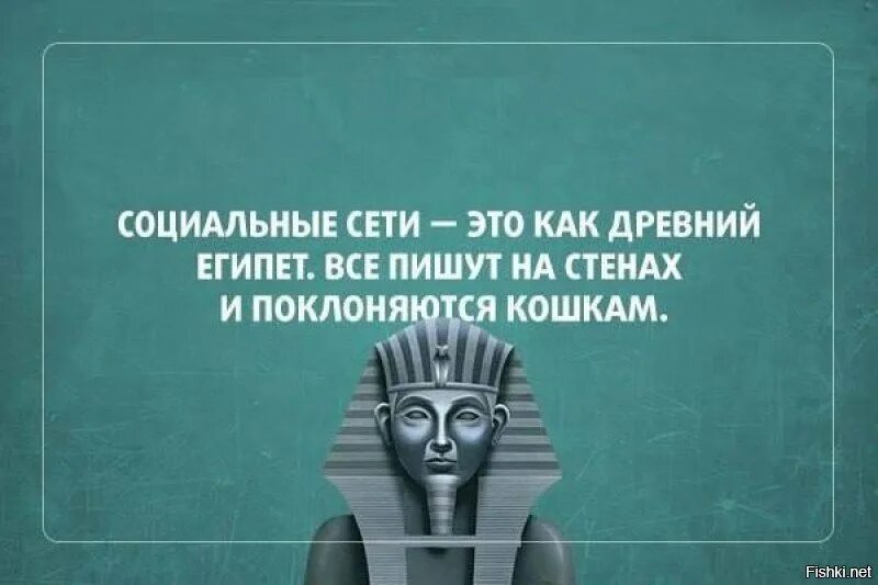 Социальная сеть фразы. Высказывания про социальные сети. Афоризмы про социальные сети. Фразы про социальные сети. Цитаты про социальные сети.