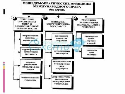Международное право понятие система принципы