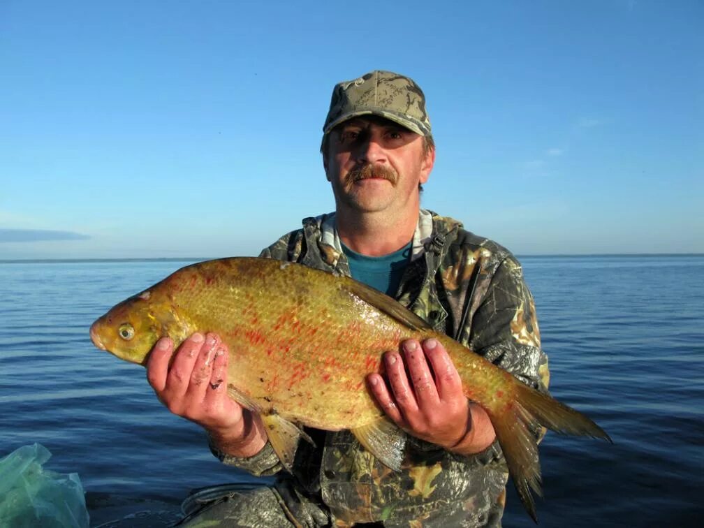 веселовское водохранилище рыбалка. новоселовка веселовское водохранилище база рыбалка. веселовское водохранилище рыбалка. новоселовка база веселовское водохранилище. веселовское водохранилище рыбалка.