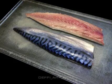 Отличие скумбрии