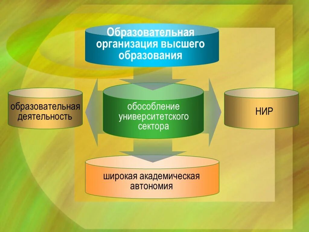 Учебная автономия. Организация высшего образования.