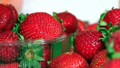 Говорящая клубника