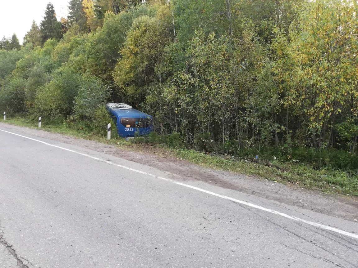 Автобус вытегра череповец. Автобус вытегра череповец