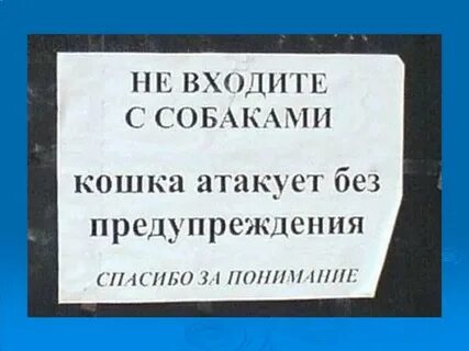 Приезжать без предупреждения