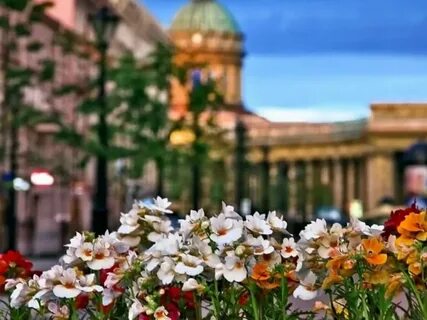 Тур в петербург в мае