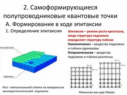 Точка строение