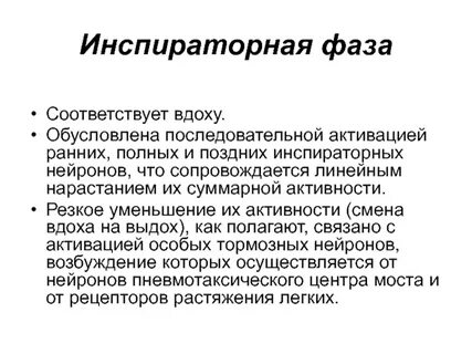 Фаза вдоха