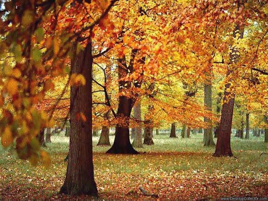 октябрь удивляет