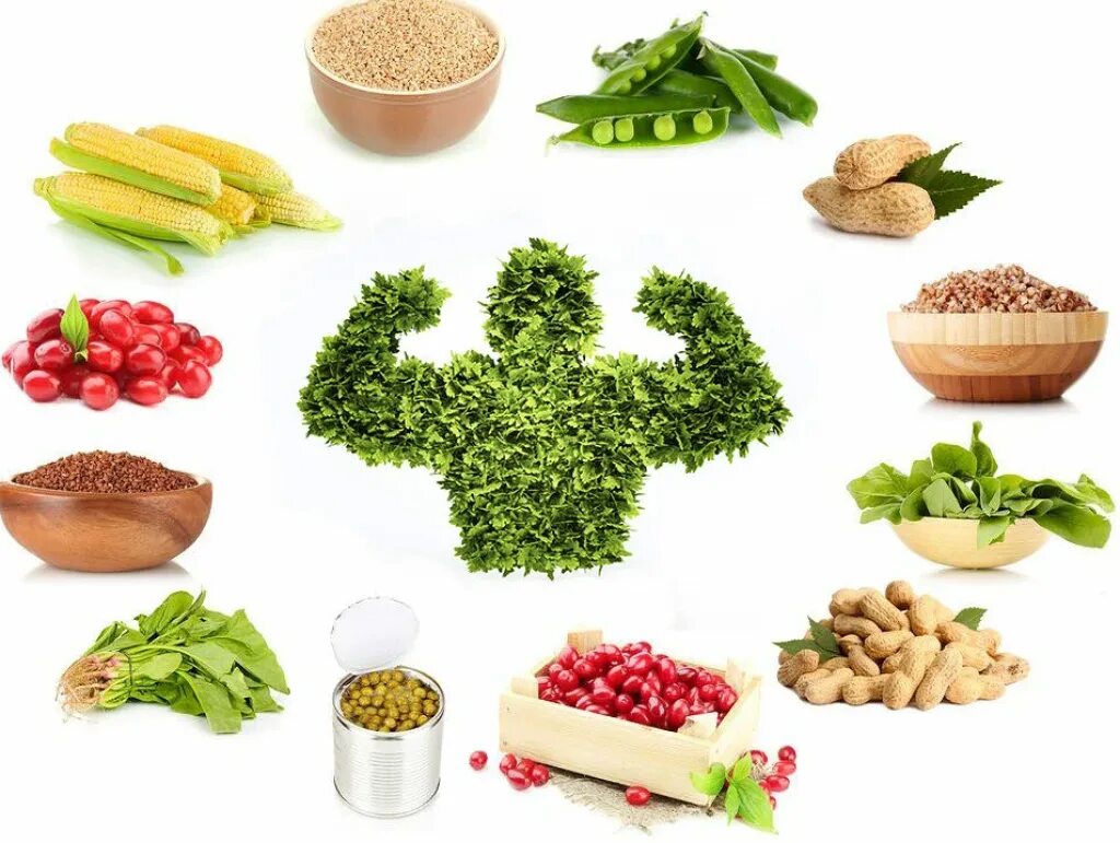 Vegetable protein. Растительный белок. Растительные белки продукты. Растительный белок продукты. Растительные источники белка.