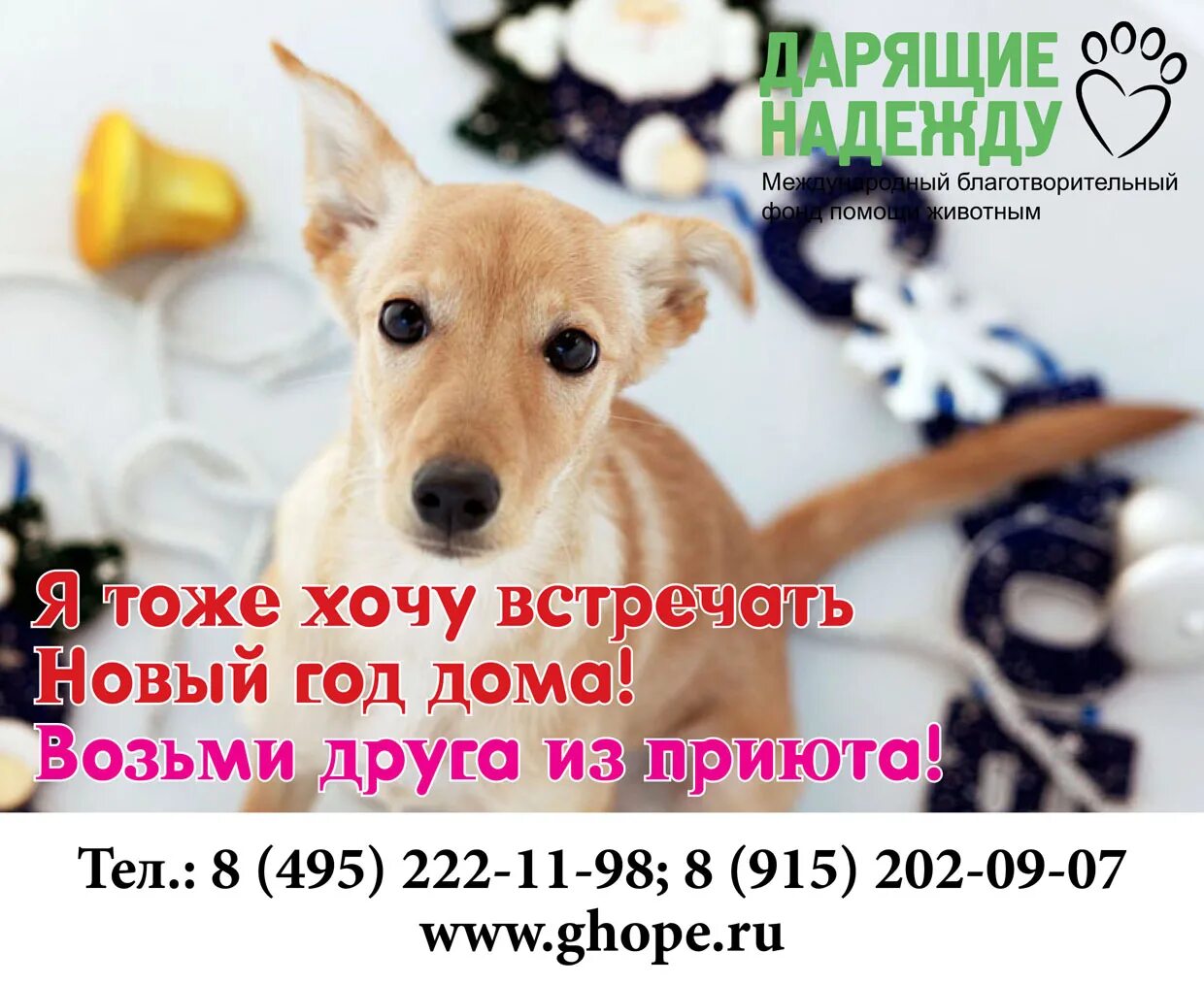 я тоже хочу подарок. меме с плачащим мальчиком. я тоже хочу подарок. я тоже хочу подарок. смешные высказывания про подарок.