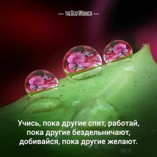 Работай пока другие