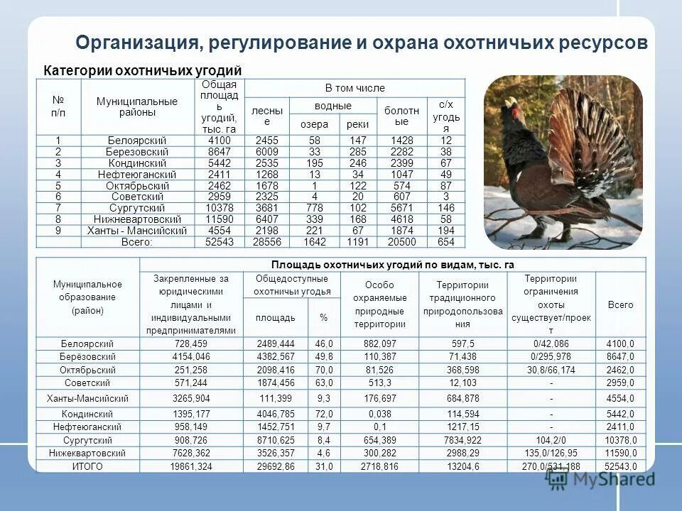 Охрана охотничьих ресурсов. Охотнадзор 47. Благоварский район республики башкортостан. Охрана охотугодий. Зона охраны охотничьих ресурсов табличка.