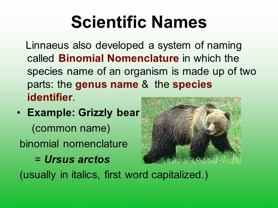 Specific name. Scientific names. binomial biological name. naming species. names of sciences.