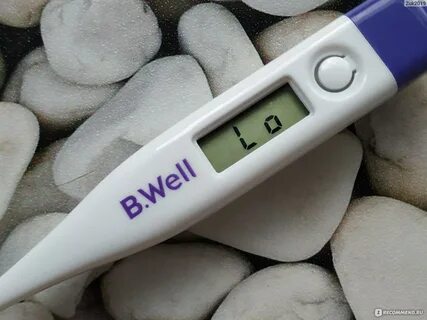 B well wt 03 инструкция
