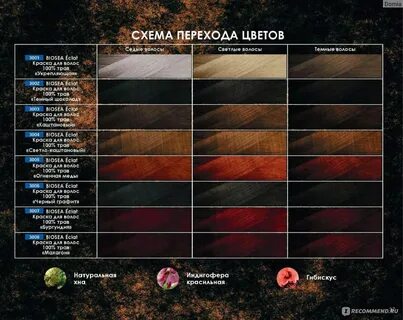 Краска 100
