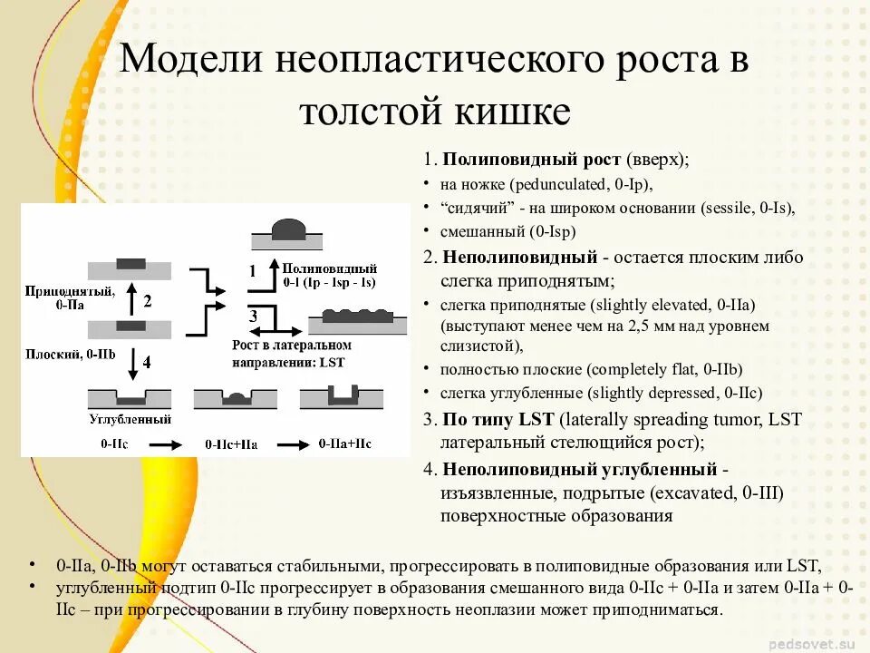 Эпителиальное новообразование ободочной кишки тип0-LS. Парижская классификация полипов кишечника. Парижская классификация полипов толстой кишки. Классификация эпителиальных образований толстой кишки. Эпителиальное образование желудка что это