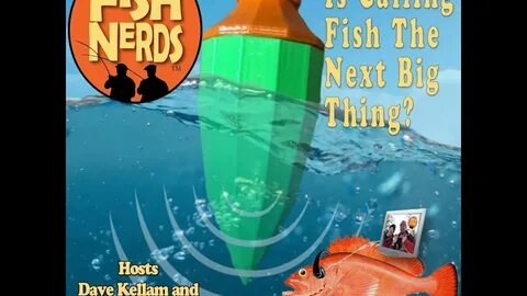 Much is the fish