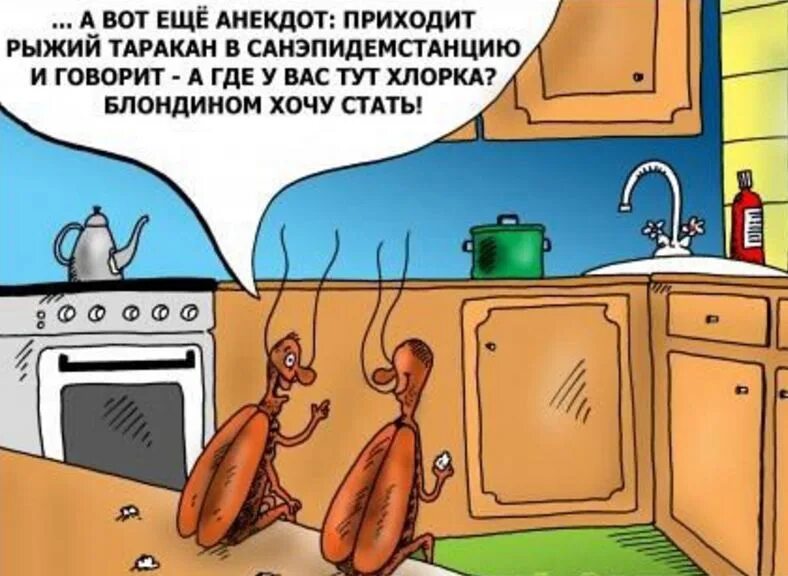 Пришел исполнить
