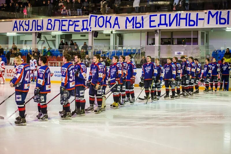 Мхл дивизионы. Южно-Сахалинск сахалинские акулы. Сахалинские акулы МХЛ. Акула хоккейная команда. Команда сахалинские акулы.