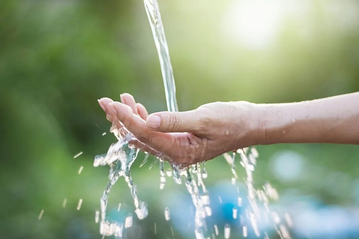 Are being watered. Are being watered