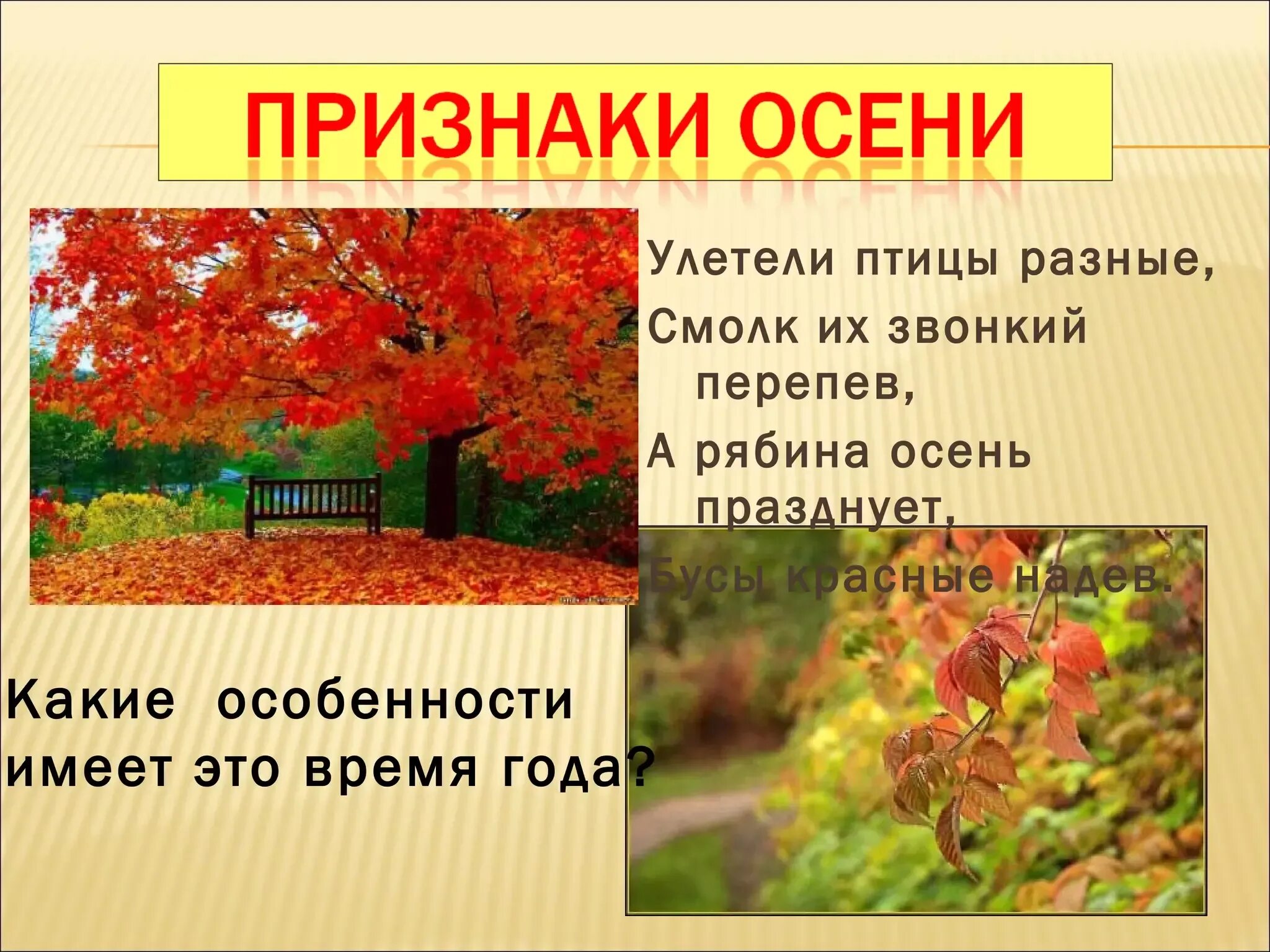 Осень признаки осени. Проект на тему времена года. Признаки времен года. Проект времена года осень.