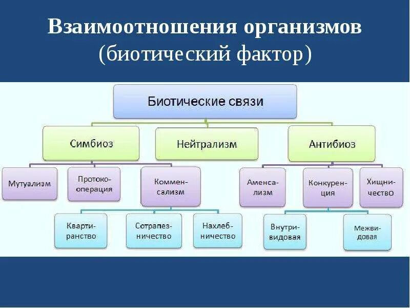 Взаимо связано. Типы взаимодействия между организмами схема. Формы взаимоотношений между организмами схема. Типы взаимоотношений организмов схема. Формы биотических взаимоотношений между организмами таблица.