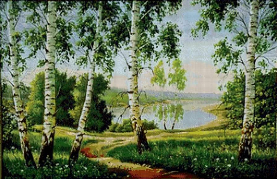Схема березовой рощи