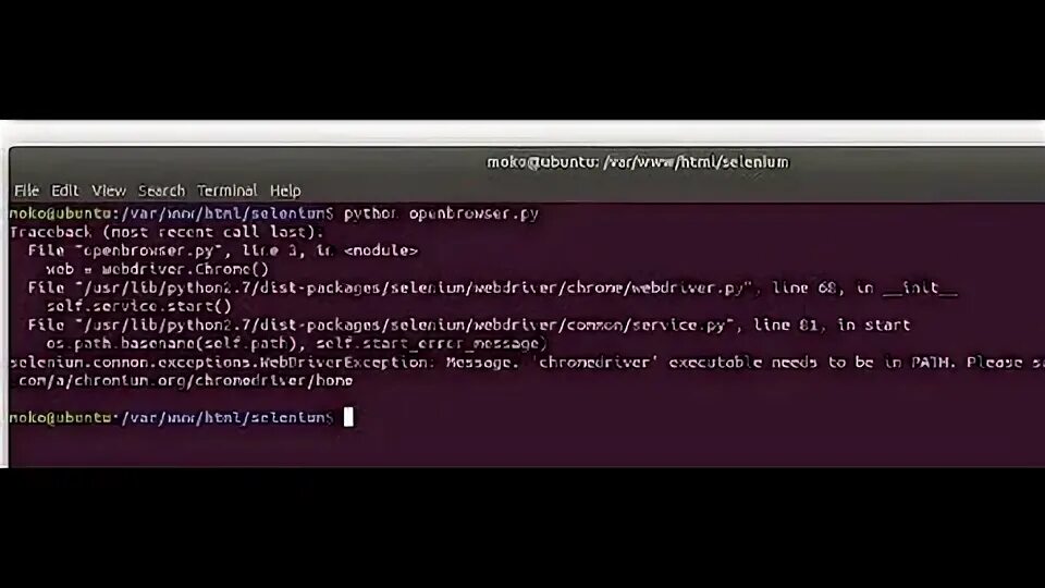 Webdriver executable path. Переменные среды python. Webdriver executable path. Selenium code. Webdriver executable path.