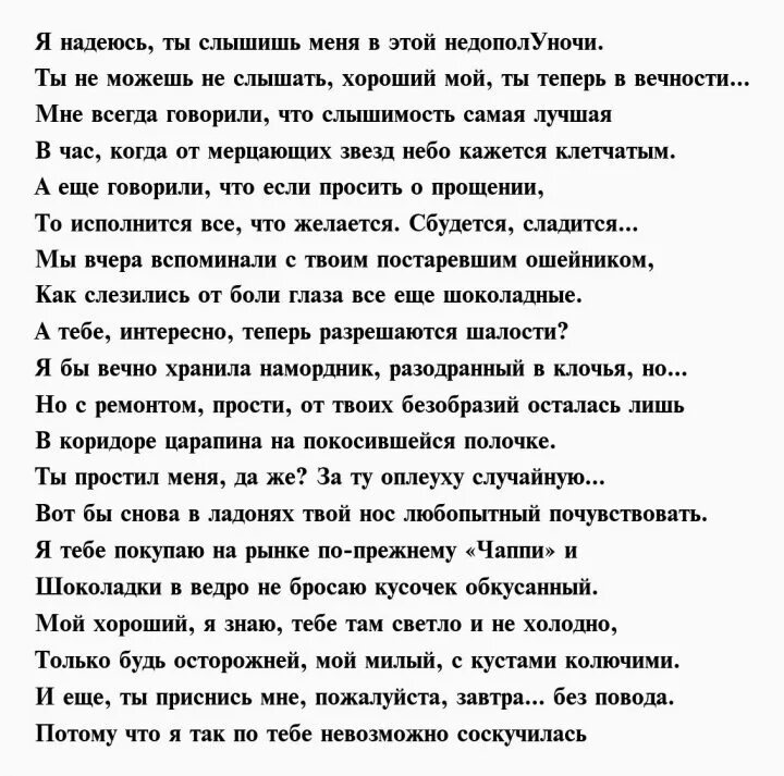 Стихи о собаке ушедшей на радугу. Стих о погибшей собаке. Стихи посвященные собаке. Стихи посвященные собаке. Стихи о собаке ушедшей.