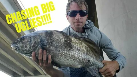 Black catch