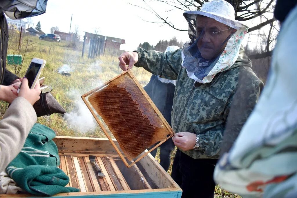 Общество пчеловодов чувашии. Михеев юрий чувашия пчеловод. Пчеловодство в чувашии. Пчеловоду россии. Горная пасека горный алтай.