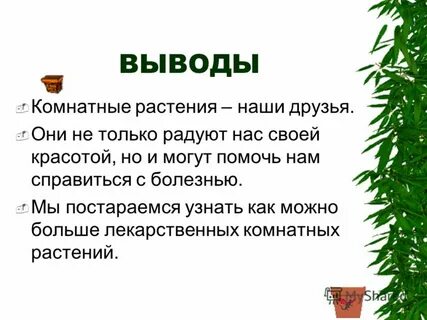 Комнатные растения вывод
