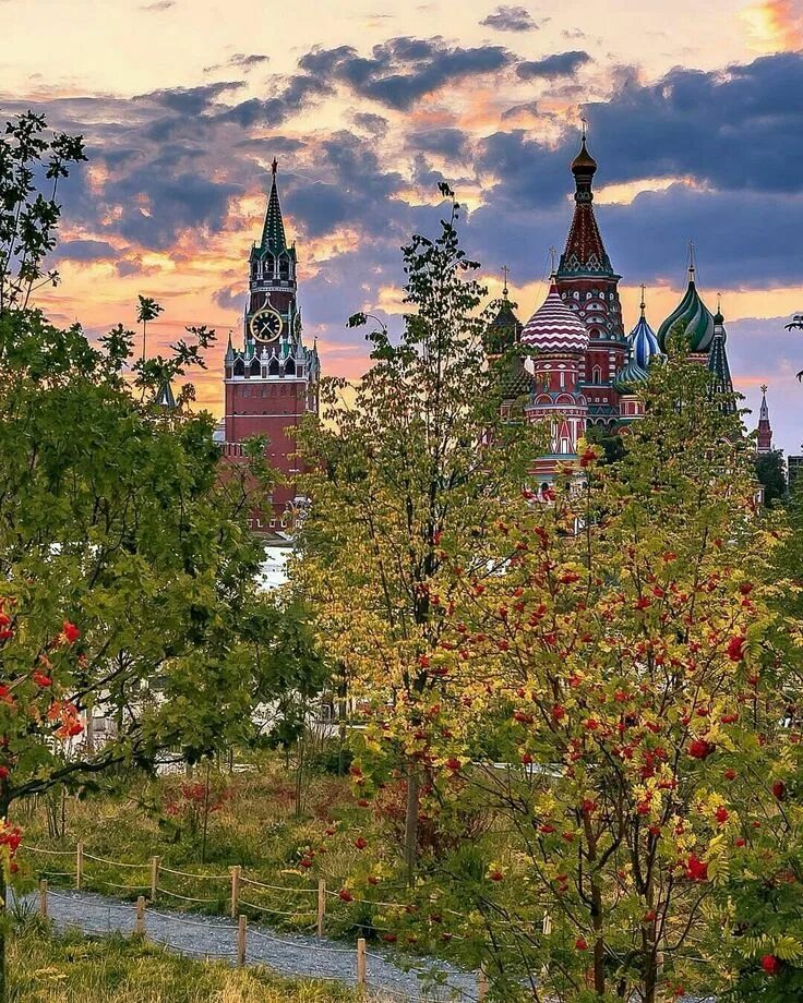 Фотография Москва Ботанический Природа Сады Пруд