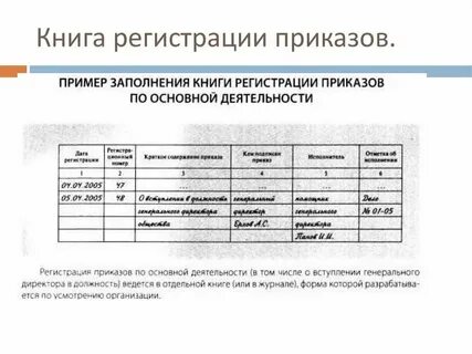 Что такое приказ по основной деятельности